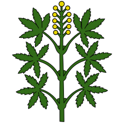 Wangen-Brüttisellen